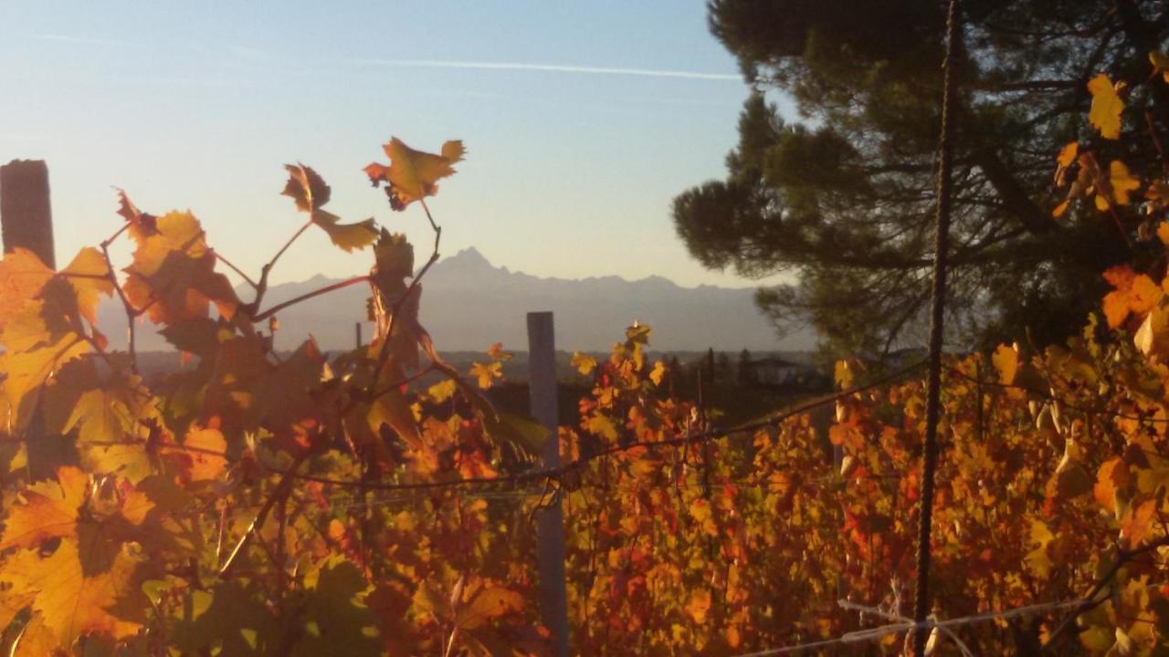 Cascina Torello Dogliani Zewnętrze zdjęcie