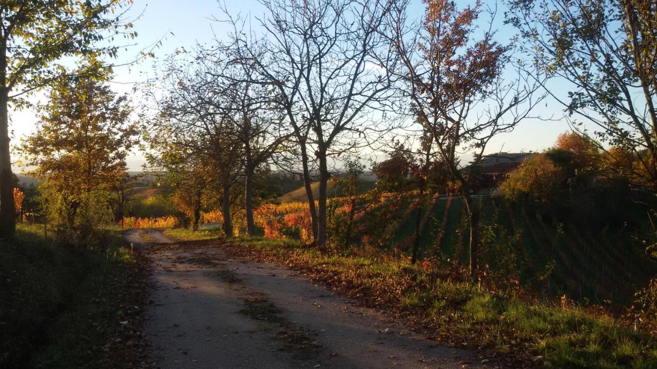 Cascina Torello Dogliani Zewnętrze zdjęcie