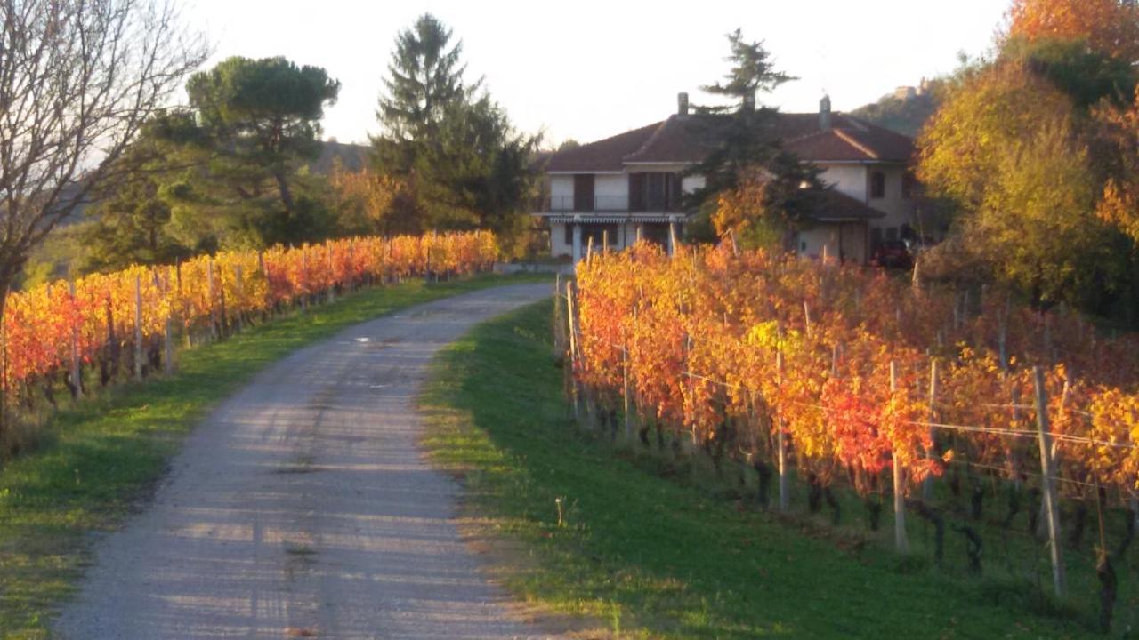Cascina Torello Dogliani Zewnętrze zdjęcie