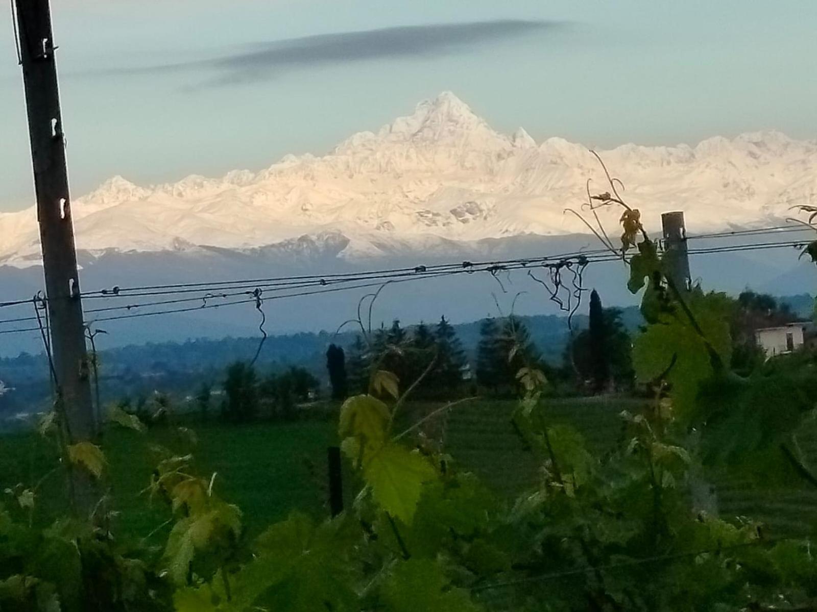 Cascina Torello Dogliani Zewnętrze zdjęcie