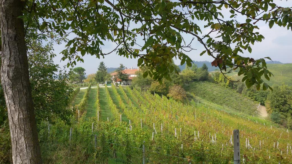 Cascina Torello Dogliani Zewnętrze zdjęcie