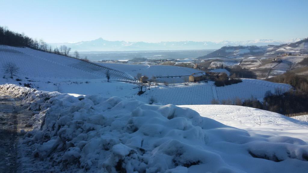 Cascina Torello Dogliani Zewnętrze zdjęcie