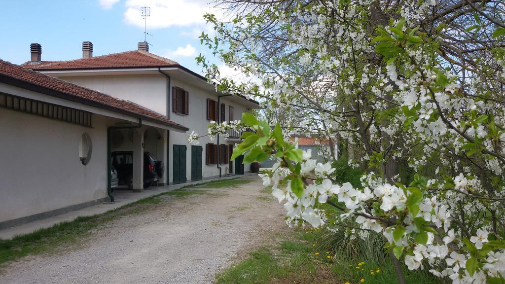 Cascina Torello Dogliani Zewnętrze zdjęcie