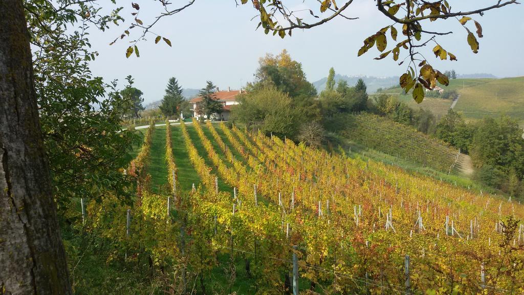 Cascina Torello Dogliani Zewnętrze zdjęcie