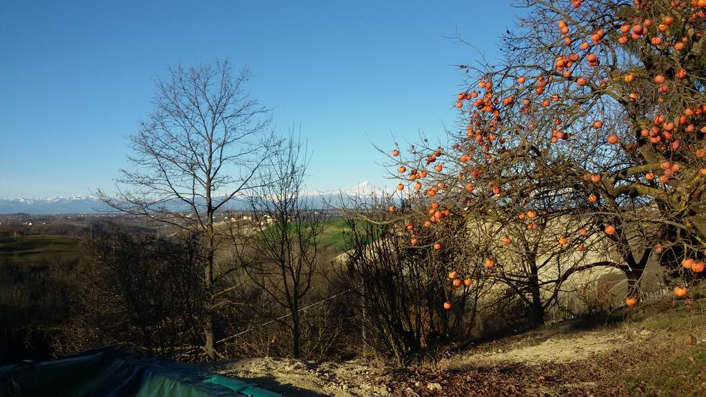 Cascina Torello Dogliani Zewnętrze zdjęcie