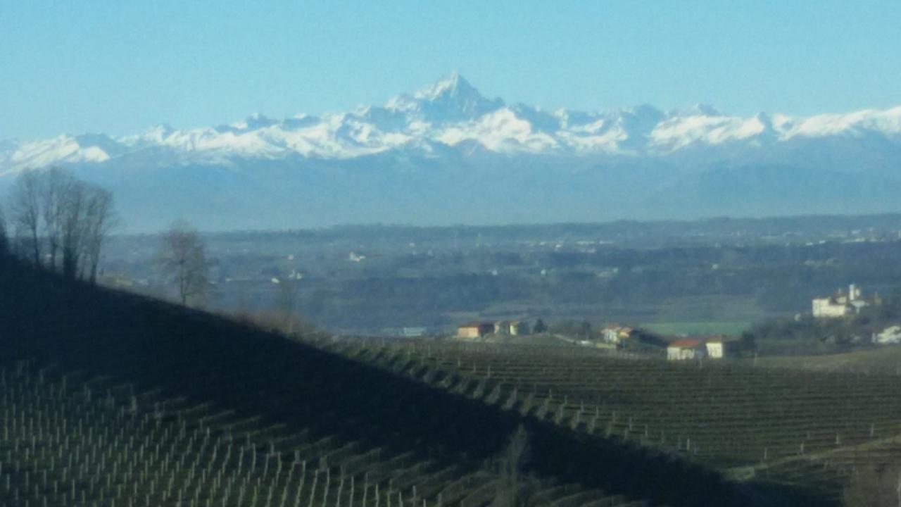 Cascina Torello Dogliani Zewnętrze zdjęcie