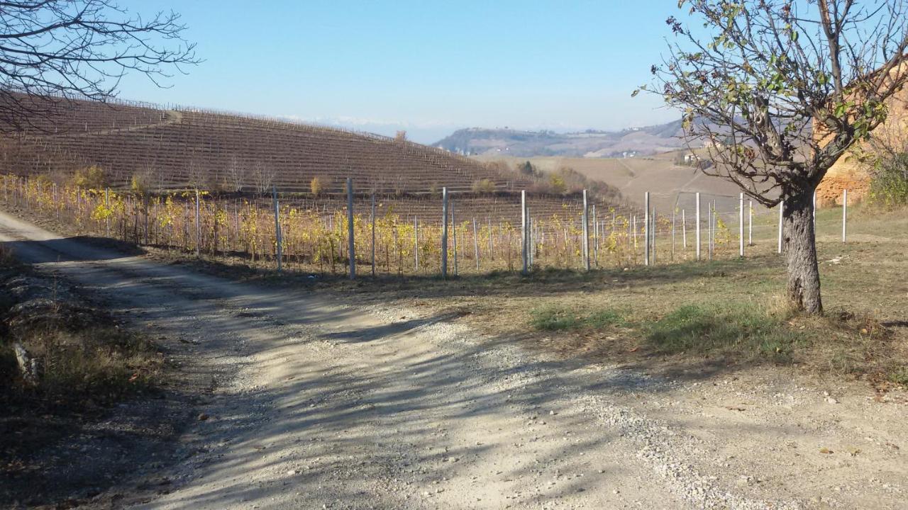 Cascina Torello Dogliani Zewnętrze zdjęcie