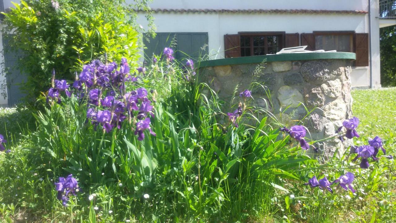 Cascina Torello Dogliani Zewnętrze zdjęcie