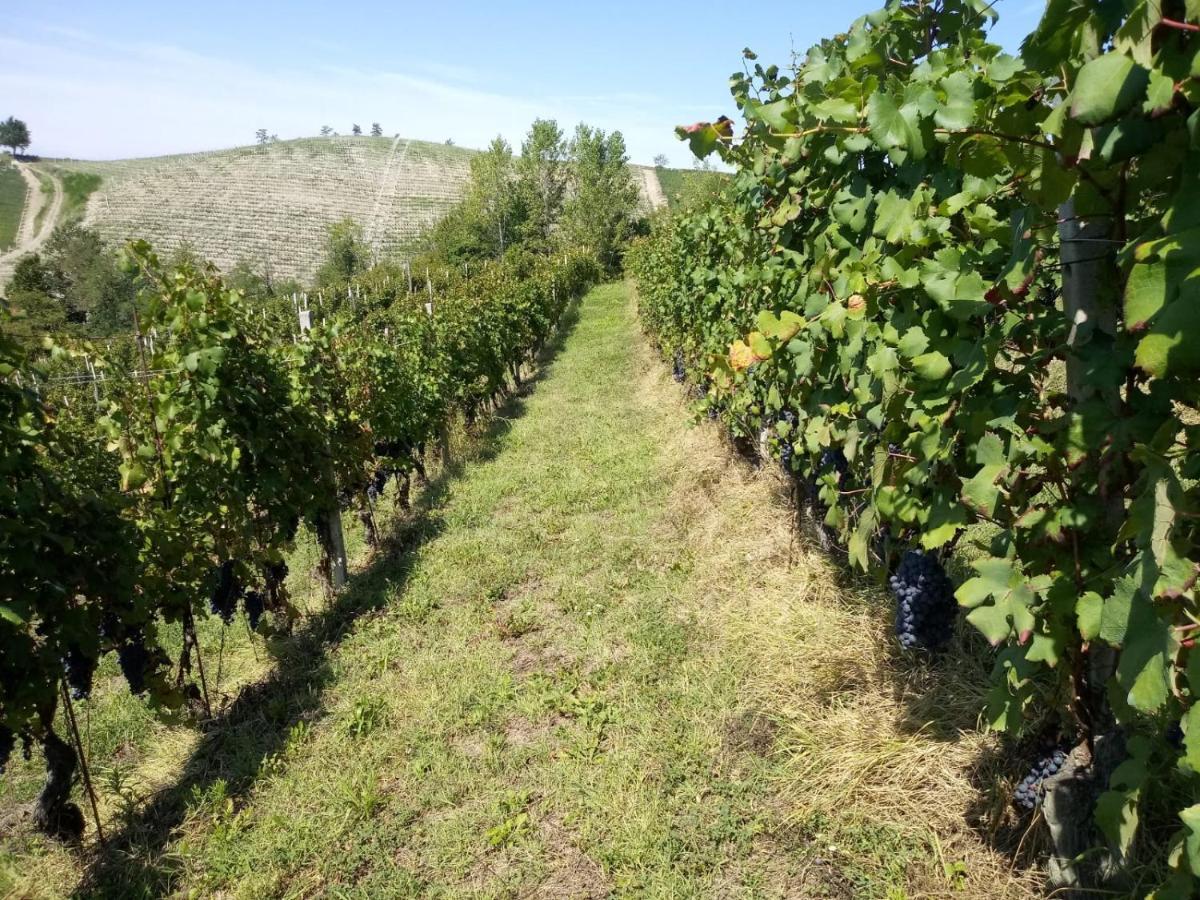 Cascina Torello Dogliani Zewnętrze zdjęcie
