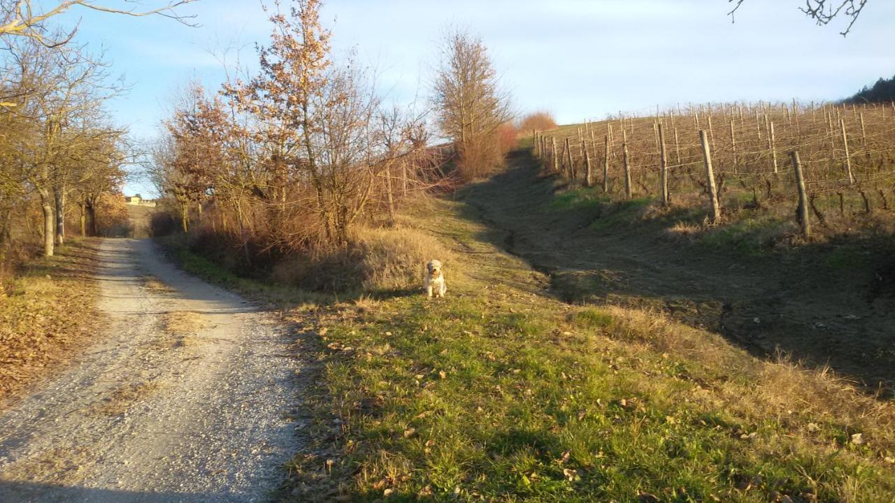 Cascina Torello Dogliani Zewnętrze zdjęcie